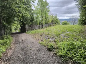 Teren Intravilan Poiana Campina,1300m - imagine 7