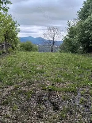 Teren Intravilan Poiana Campina,1300m - imagine 3