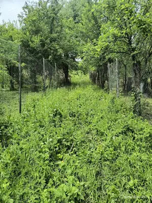 Teren Intravilan Poiana Campina,1300m - imagine 9