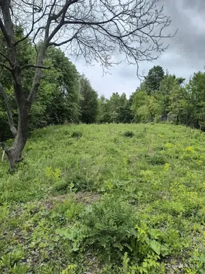 Teren Intravilan Poiana Campina,1300m - imagine 5