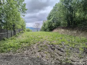 Teren Intravilan Poiana Campina,1300m - imagine 2