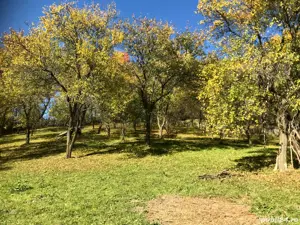 Teren intravilan de vânzare în Secaria Judetul Prahova