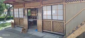 Casa de vânzare - imagine 6