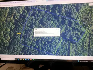 Vand 4,5 ha padure Strejesti, jud. Olt - imagine 2