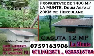 Proprietate la Munte. Teren 1300 MP., Cabana 11 MP. Drum Asfaltat. 20 KM de Herculane .