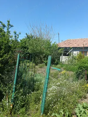 Vând casă bătrânească sat ciresanu com Baba Ana judetul Prahova casa compusă din trei camere plus de - imagine 11