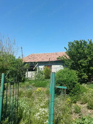 Vând casă bătrânească sat ciresanu com Baba Ana judetul Prahova casa compusă din trei camere plus de - imagine 12