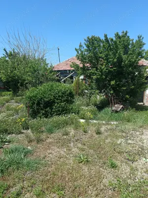 Vând casă bătrânească sat ciresanu com Baba Ana judetul Prahova casa compusă din trei camere plus de - imagine 13