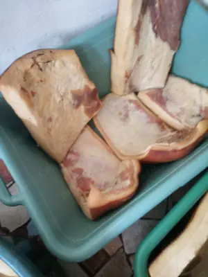 Porci mangalita  - imagine 4 Porci mangalita  - imagine 4