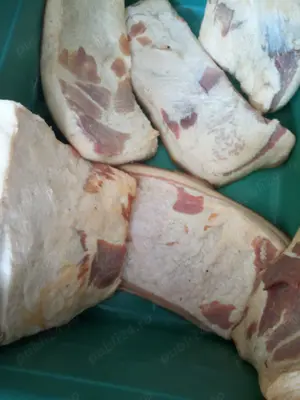 Porci mangalita  - imagine 5 Porci mangalita  - imagine 5