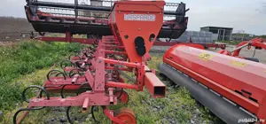 vând prasitoare  - imagine 3