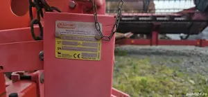 vând prasitoare  - imagine 2