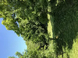 Vând casa cu teren in Păulis - imagine 6