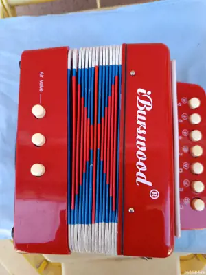 acordeon copii