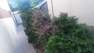 Casa perfectă în București - imagine 6