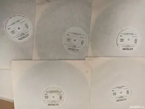 viniluri MAXIM POP limba engleza in picturi 