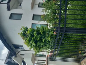 Vand imobil  - imagine 7