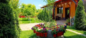 Casa de vânzare Cazasu Brăila  - imagine 8