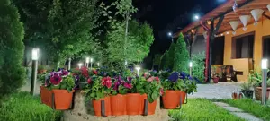 Casa de vânzare Cazasu Brăila  - imagine 6