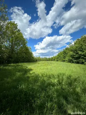 Vand teren intavilant - imagine 2