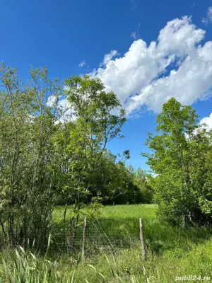 Vand teren intavilant - imagine 3