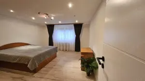 Vand casa s+p+e turnisor - imagine 7