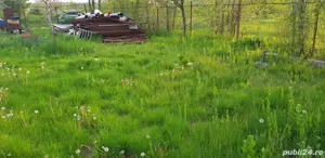 Vand teren cu anexa in Cartierul Pomilor If. Magurele aprox 500 mp,  - imagine 6