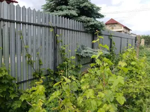 Vand Teren Vanatori 500 m2 - imagine 10