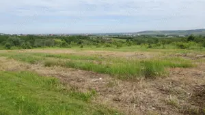 Vand teren intravilan Paleu, 45 euro , are nomenclator stradal (SUPRAFATA PLANA) 3100 mp, str. Verii - imagine 3