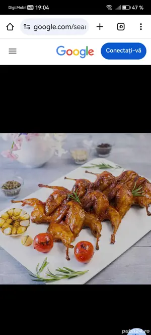 Sacrificam prepelițe tinere pt evenimentul tau - imagine 3