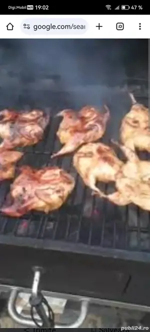 Sacrificam prepelițe tinere pt evenimentul tau - imagine 4