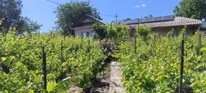 Casa de vannzare - imagine 5