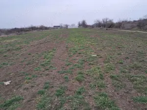 Vand Teren Branistea, Galati 2263 m2, intravilan - imagine 6 Vand Teren Branistea, Galati 2263 m2, intravilan - imagine 6