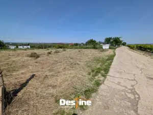 Bârnova - Teren Intravilan 974 Mp, utilitati, drum betonat - imagine 8