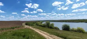 Teren extravilan deosebit, 5755 mp pe malul lacului Miersig, Bihor - imagine 4