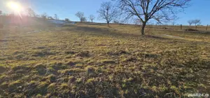 Teren 33 ari Dumitra