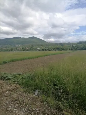 Teren 3000 mp intravilan Viisoara