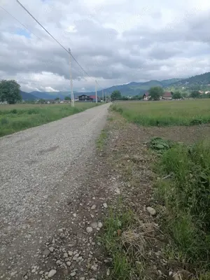 Teren 3000 mp intravilan Viisoara - imagine 2