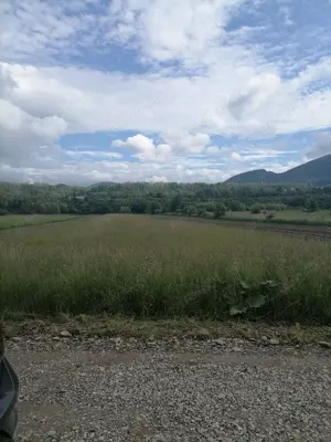 Teren 3000 mp intravilan Viisoara - imagine 3