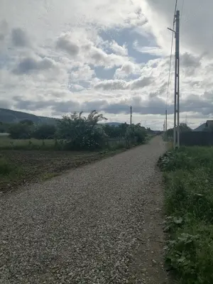 Teren 3000 mp intravilan Viisoara - imagine 4