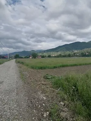 Teren 3000 mp intravilan Viisoara - imagine 5