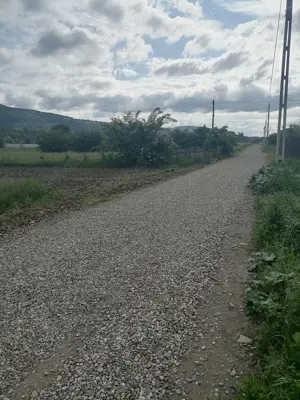 Teren 3000 mp intravilan Viisoara - imagine 6