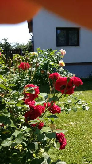 Apartament Snagov ultracentral  - imagine 10