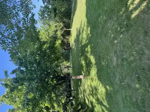 Vând proprietate deosebită în Bragadiru-Prelungirea Ghencea. - imagine 6