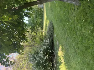 Vând proprietate deosebită în Bragadiru-Prelungirea Ghencea. - imagine 8