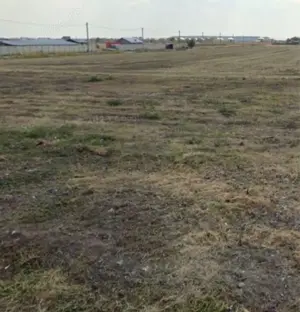 Teren Dragomirești Deal 5000 m