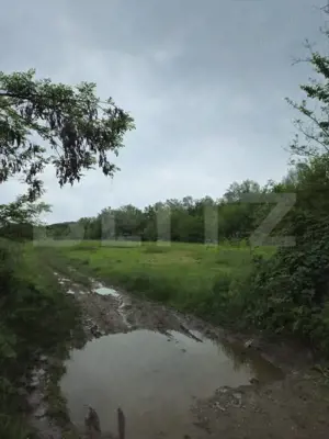 Teren Intravilan de vanzare, în Exclusivitate, Fără Comision la Achiziție - imagine 6