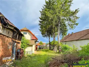 FILM! Casa pitoreasca + anexe + 1.500mp teren, Santionlunca, Covasna - imagine 5