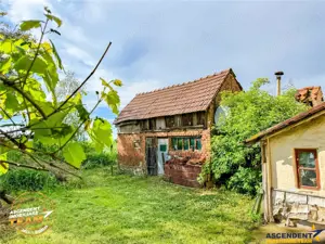 FILM! Casa pitoreasca + anexe + 1.500mp teren, Santionlunca, Covasna - imagine 7