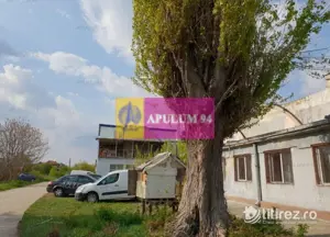 Hală 3600mp zona de Sud a capitalei - imagine 12